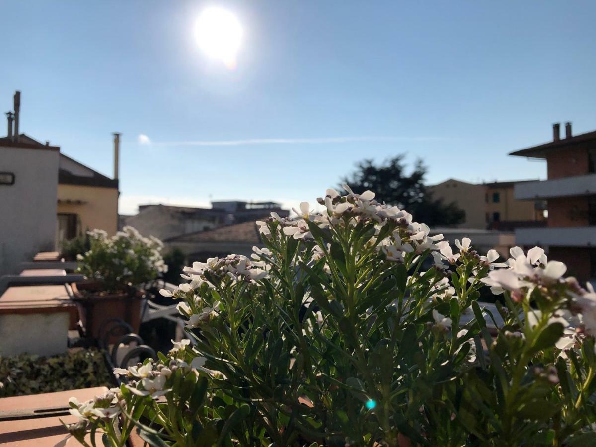 Da Paola Bed & Breakfast Pisa Exterior photo